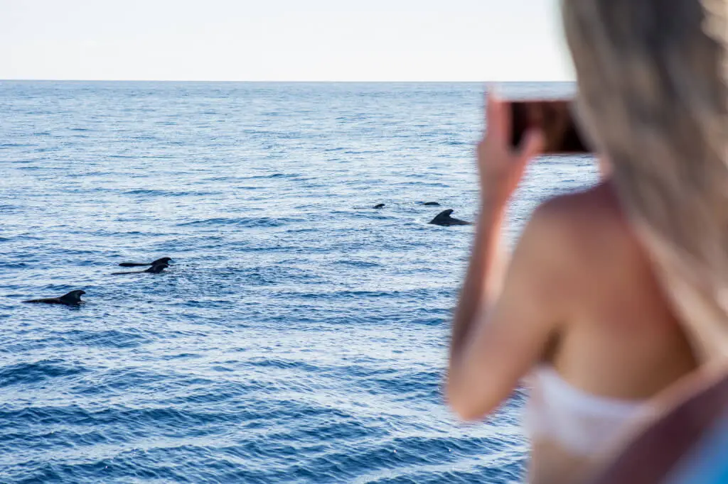 Holiday Program, Fuerteventura, Idegen vezetés, Magyarúl, Program, Túra, Buszos kirándulás, Nyaralás, hajó kirándulás, programok vizen, földön és levegőben