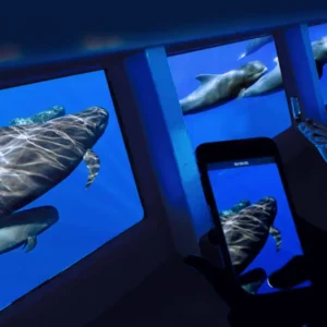 Holiday Program, Fuerteventura, Idegen vezetés, Magyarúl, Program, Túra, Buszos kirándulás, Nyaralás, hajó kirándulás, programok vizen, földön és levegőben