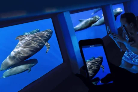 Holiday Program, Fuerteventura, Idegen vezetés, Magyarúl, Program, Túra, Buszos kirándulás, Nyaralás, hajó kirándulás, programok vizen, földön és levegőben