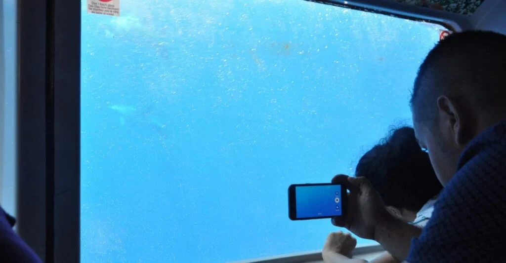 Holiday Program, Fuerteventura, Idegen vezetés, Magyarúl, Program, Túra, Buszos kirándulás, Nyaralás, hajó kirándulás, programok vizen, földön és levegőben