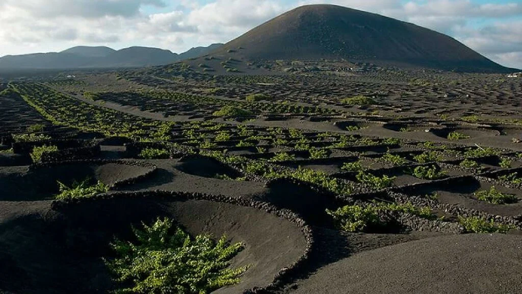 Holiday Program, Fuerteventura, Idegen vezetés, Magyarúl, Program, Túra, Buszos kirándulás, Nyaralás, hajó kirándulás, programok vizen, földön és levegőben
