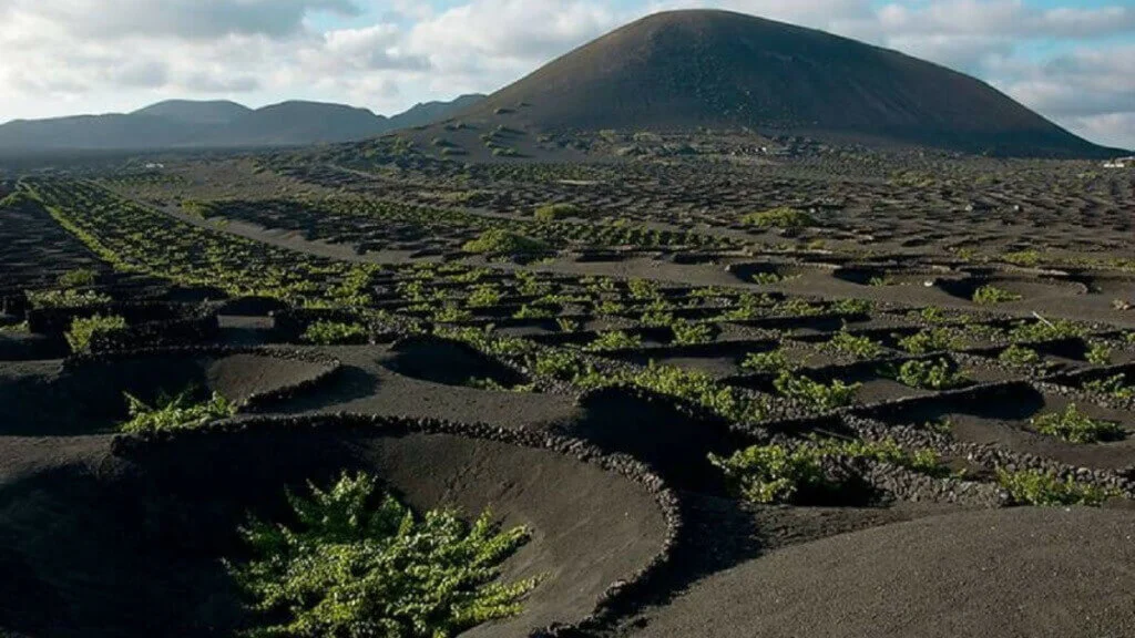 Holiday Program, Fuerteventura, Idegen vezetés, Magyarúl, Program, Túra, Buszos kirándulás, Nyaralás, hajó kirándulás, programok vizen, földön és levegőben