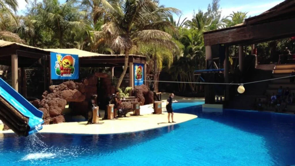 Holiday Program, Fuerteventura, Idegen vezetés, Magyarúl, Program, Túra, Buszos kirándulás, Nyaralás, hajó kirándulás, programok vizen, földön és levegőben