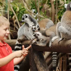Holiday Program, Fuerteventura, Idegen vezetés, Magyarúl, Program, Túra, Buszos kirándulás, Nyaralás, hajó kirándulás, programok vizen, földön és levegőben