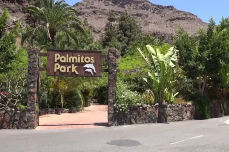 Holiday Program, Gran Canaria, Idegen vezetés, Magyarúl, Program, Túra, Buszos kirándulás, Nyaralás, Kanári szigetek