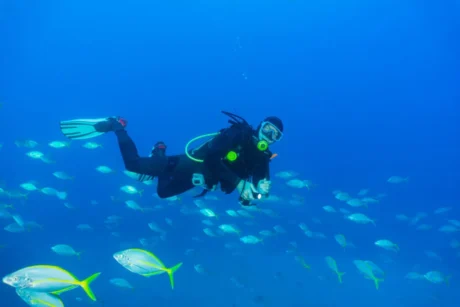 Holiday Program, Madeira, Idegen vezetés, Magyarul, Program, Túra, Buszos kirándulás, Nyaralás, hajó kirándulás, programok vizen, földön és levegőben