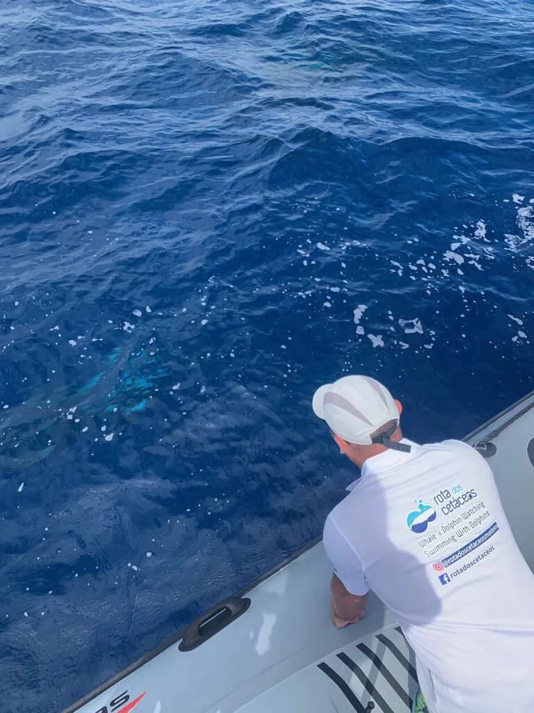 Holiday Program, Madeira, Idegen vezetés, Magyarul, Program, Túra, Buszos kirándulás, Nyaralás, hajó kirándulás, programok vizen, földön és levegőben