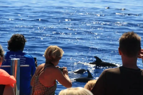 Holiday Program, Madeira, Idegen vezetés, Magyarul, Program, Túra, Buszos kirándulás, Nyaralás, hajó kirándulás, programok vizen, földön és levegőben