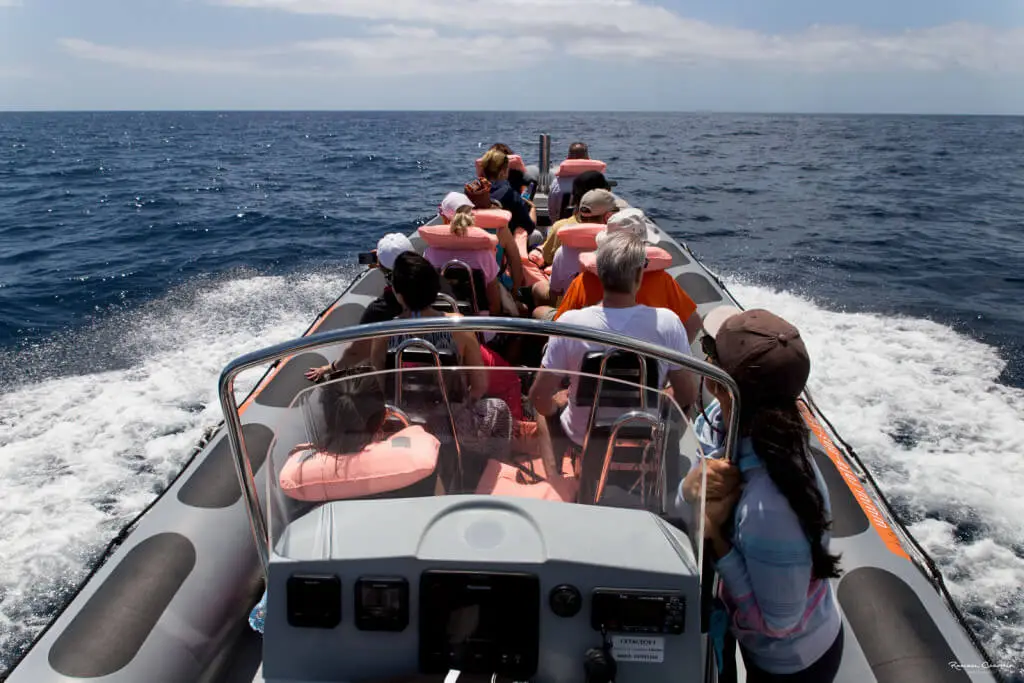 Holiday Program, Madeira, Idegen vezetés, Magyarul, Program, Túra, Buszos kirándulás, Nyaralás, hajó kirándulás, programok vizen, földön és levegőben