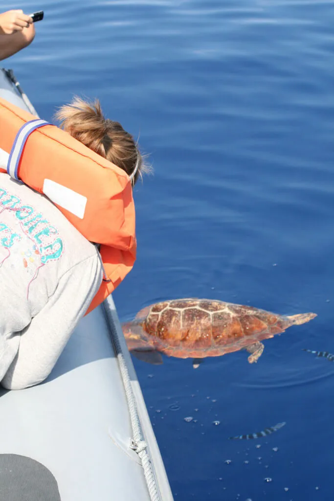 Holiday Program, Madeira, Idegen vezetés, Magyarul, Program, Túra, Buszos kirándulás, Nyaralás, hajó kirándulás, programok vizen, földön és levegőben
