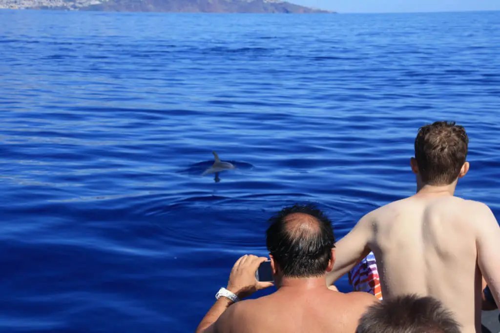 Holiday Program, Madeira, Idegen vezetés, Magyarul, Program, Túra, Buszos kirándulás, Nyaralás, hajó kirándulás, programok vizen, földön és levegőben