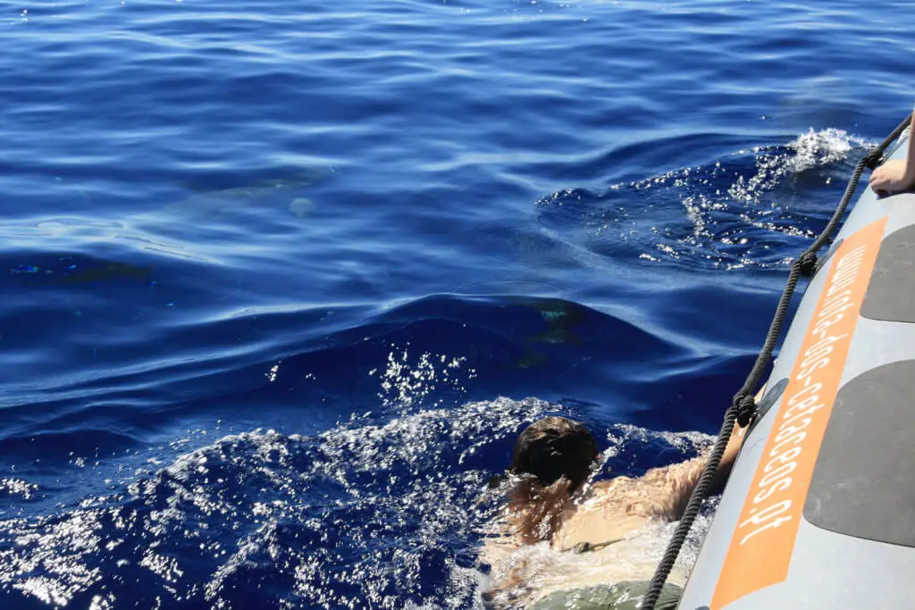 Holiday Program, Madeira, Idegen vezetés, Magyarul, Program, Túra, Buszos kirándulás, Nyaralás, hajó kirándulás, programok vizen, földön és levegőben