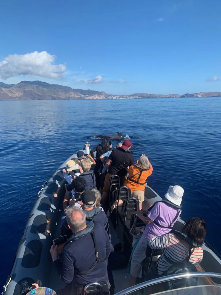 Holiday Program, Madeira, Idegen vezetés, Magyarul, Program, Túra, Buszos kirándulás, Nyaralás, hajó kirándulás, programok vizen, földön és levegőben