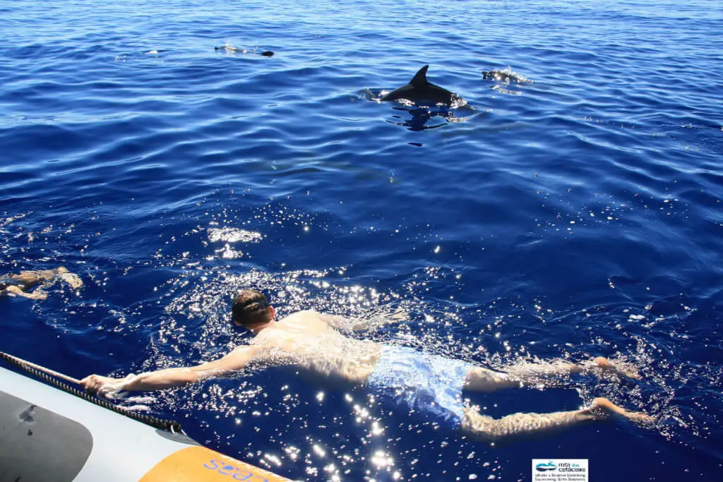Holiday Program, Madeira, Idegen vezetés, Magyarul, Program, Túra, Buszos kirándulás, Nyaralás, hajó kirándulás, programok vizen, földön és levegőben