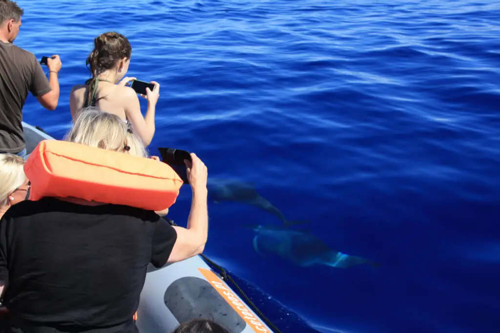 Holiday Program, Madeira, Idegen vezetés, Magyarul, Program, Túra, Buszos kirándulás, Nyaralás, hajó kirándulás, programok vizen, földön és levegőben