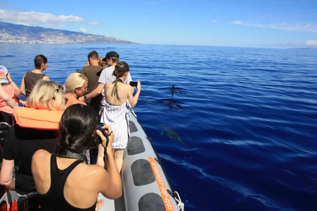 Holiday Program, Madeira, Idegen vezetés, Magyarul, Program, Túra, Buszos kirándulás, Nyaralás, hajó kirándulás, programok vizen, földön és levegőben