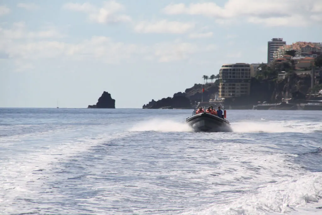 Holiday Program, Madeira, Idegen vezetés, Magyarul, Program, Túra, Buszos kirándulás, Nyaralás, hajó kirándulás, programok vizen, földön és levegőben