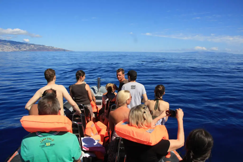 Holiday Program, Madeira, Idegen vezetés, Magyarul, Program, Túra, Buszos kirándulás, Nyaralás, hajó kirándulás, programok vizen, földön és levegőben