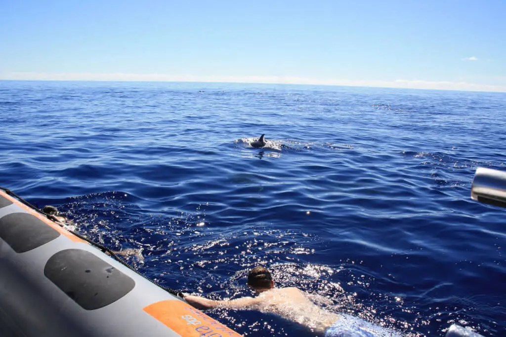 Holiday Program, Madeira, Idegen vezetés, Magyarul, Program, Túra, Buszos kirándulás, Nyaralás, hajó kirándulás, programok vizen, földön és levegőben