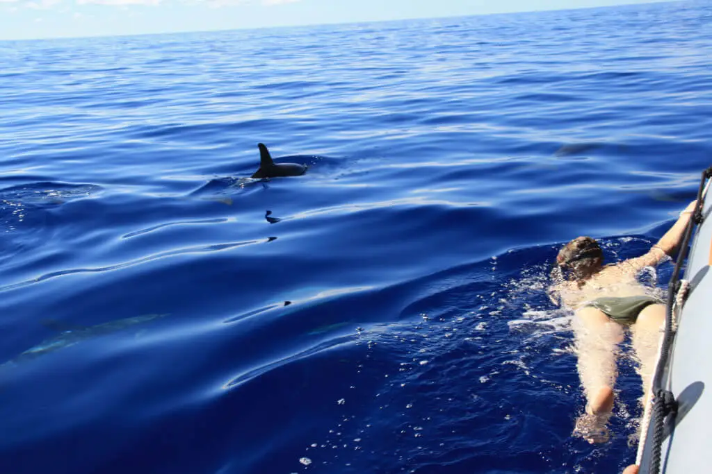 Holiday Program, Madeira, Idegen vezetés, Magyarul, Program, Túra, Buszos kirándulás, Nyaralás, hajó kirándulás, programok vizen, földön és levegőben