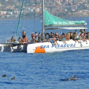 Holiday Program, Madeira, Idegen vezetés, Magyarul, Program, Túra, Buszos kirándulás, Nyaralás, hajó kirándulás, programok vizen, földön és levegőben