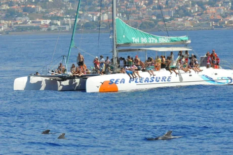 Holiday Program, Madeira, Idegen vezetés, Magyarul, Program, Túra, Buszos kirándulás, Nyaralás, hajó kirándulás, programok vizen, földön és levegőben