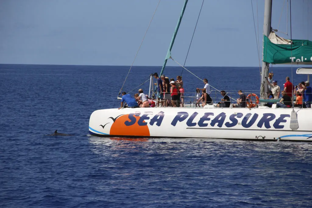 Holiday Program, Madeira, Idegen vezetés, Magyarul, Program, Túra, Buszos kirándulás, Nyaralás, hajó kirándulás, programok vizen, földön és levegőben