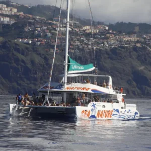Holiday Program, Madeira, Idegen vezetés, Magyarul, Program, Túra, Buszos kirándulás, Nyaralás, hajó kirándulás, programok vizen, földön és levegőben