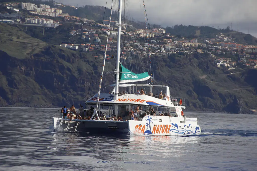 Holiday Program, Madeira, Idegen vezetés, Magyarul, Program, Túra, Buszos kirándulás, Nyaralás, hajó kirándulás, programok vizen, földön és levegőben
