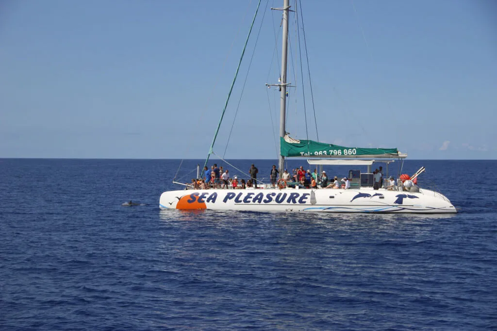 Holiday Program, Madeira, Idegen vezetés, Magyarul, Program, Túra, Buszos kirándulás, Nyaralás, hajó kirándulás, programok vizen, földön és levegőben