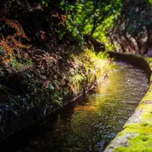 Holiday Program, Madeira, Idegen vezetés, Magyarul, Program, Túra, Buszos kirándulás, Nyaralás, hajó kirándulás, programok vizen, földön és levegőben