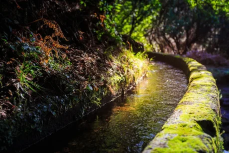 Holiday Program, Madeira, Idegen vezetés, Magyarul, Program, Túra, Buszos kirándulás, Nyaralás, hajó kirándulás, programok vizen, földön és levegőben