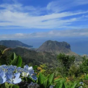 Holiday Program, Madeira, Idegen vezetés, Magyarul, Program, Túra, Buszos kirándulás, Nyaralás, hajó kirándulás, programok vizen, földön és levegőben