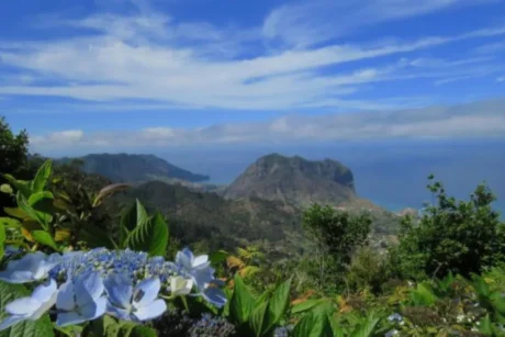 Holiday Program, Madeira, Idegen vezetés, Magyarul, Program, Túra, Buszos kirándulás, Nyaralás, hajó kirándulás, programok vizen, földön és levegőben