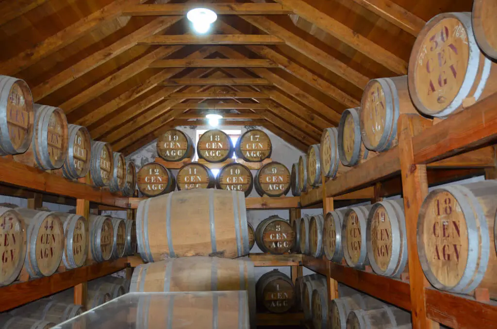 Holiday Program, Madeira, Idegen vezetés, Magyarul, Program, Túra, Buszos kirándulás, Nyaralás, hajó kirándulás, programok vizen, földön és levegőben