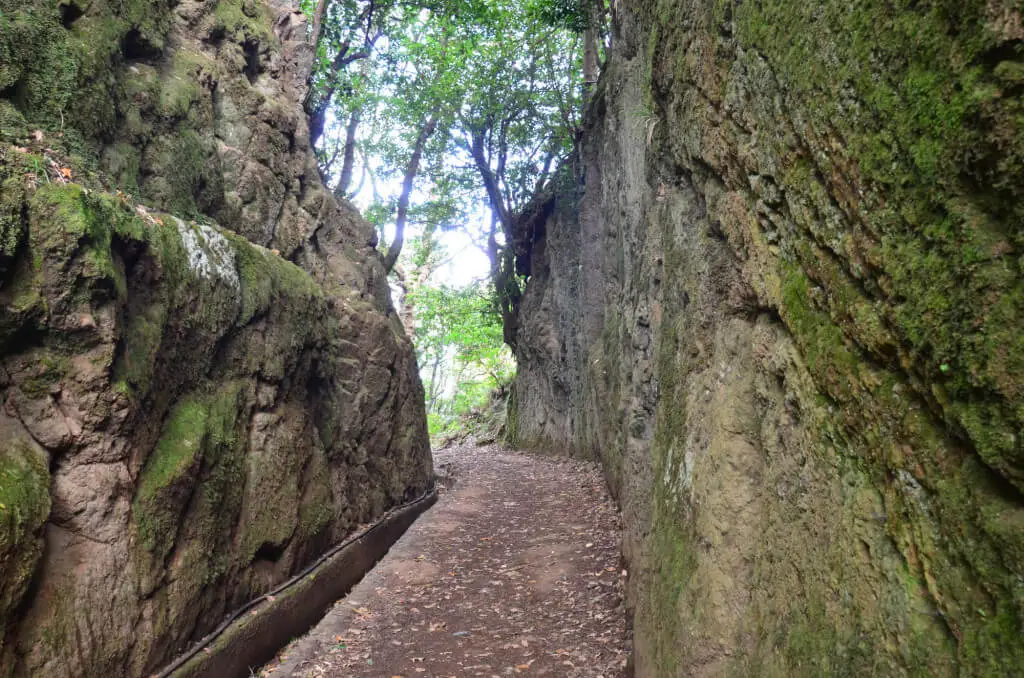 Holiday Program, Madeira, Idegen vezetés, Magyarul, Program, Túra, Buszos kirándulás, Nyaralás, hajó kirándulás, programok vizen, földön és levegőben