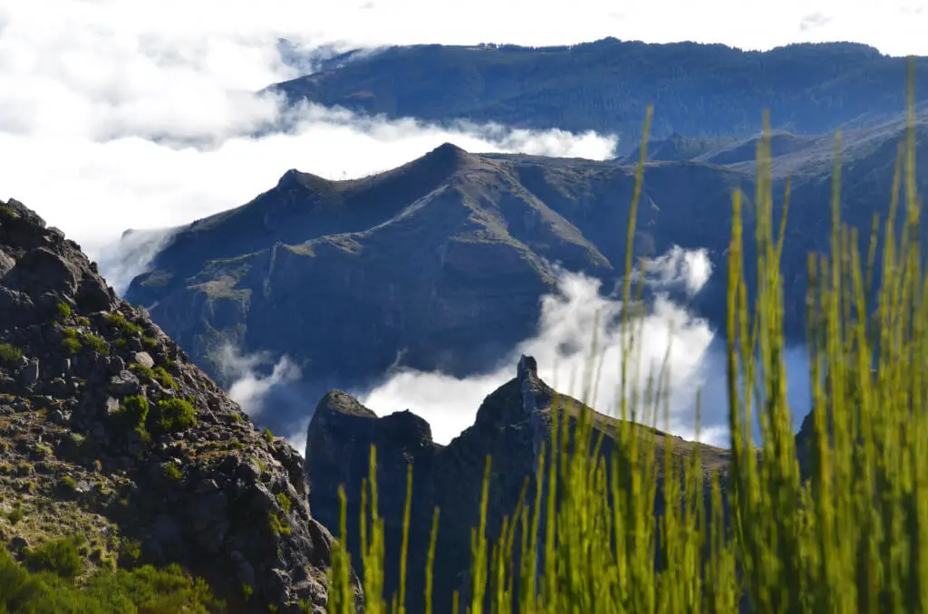 Holiday Program, Madeira, Idegen vezetés, Magyarul, Program, Túra, Buszos kirándulás, Nyaralás, hajó kirándulás, programok vizen, földön és levegőben