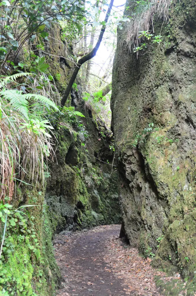 Holiday Program, Madeira, Idegen vezetés, Magyarul, Program, Túra, Buszos kirándulás, Nyaralás, hajó kirándulás, programok vizen, földön és levegőben