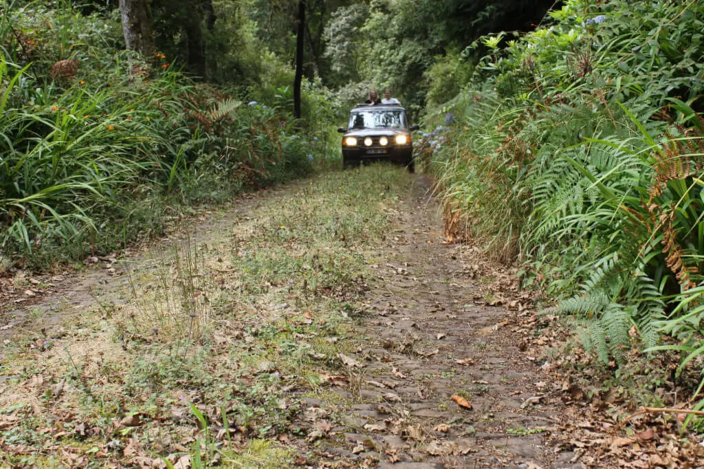 Holiday Program, Madeira, Idegen vezetés, Magyarul, Program, Túra, Buszos kirándulás, Nyaralás, hajó kirándulás, programok vizen, földön és levegőben