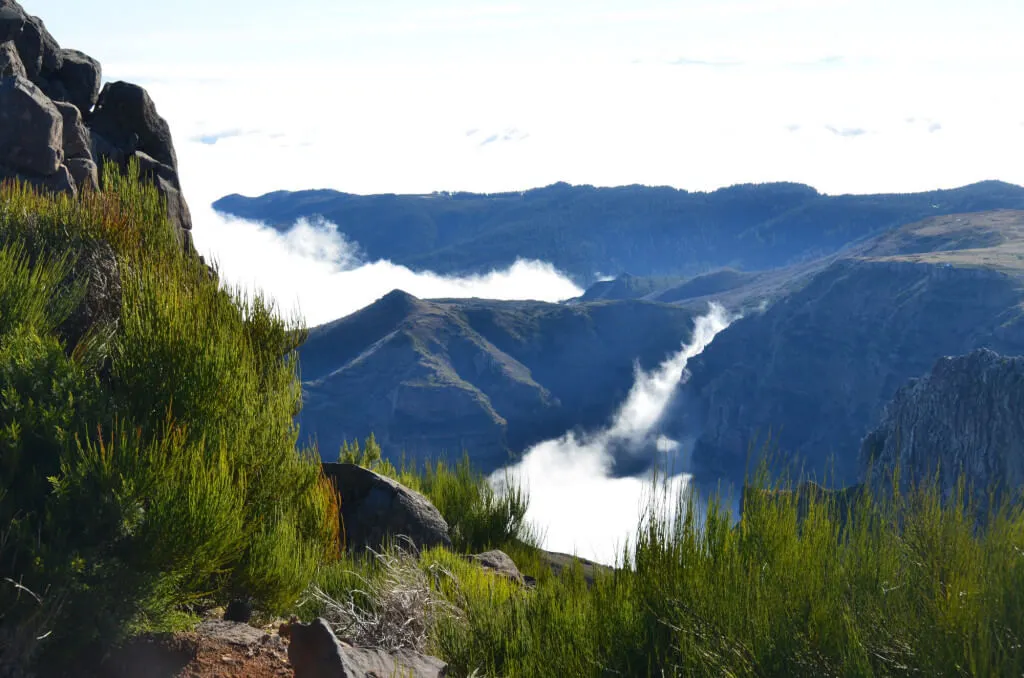 Holiday Program, Madeira, Idegen vezetés, Magyarul, Program, Túra, Buszos kirándulás, Nyaralás, hajó kirándulás, programok vizen, földön és levegőben