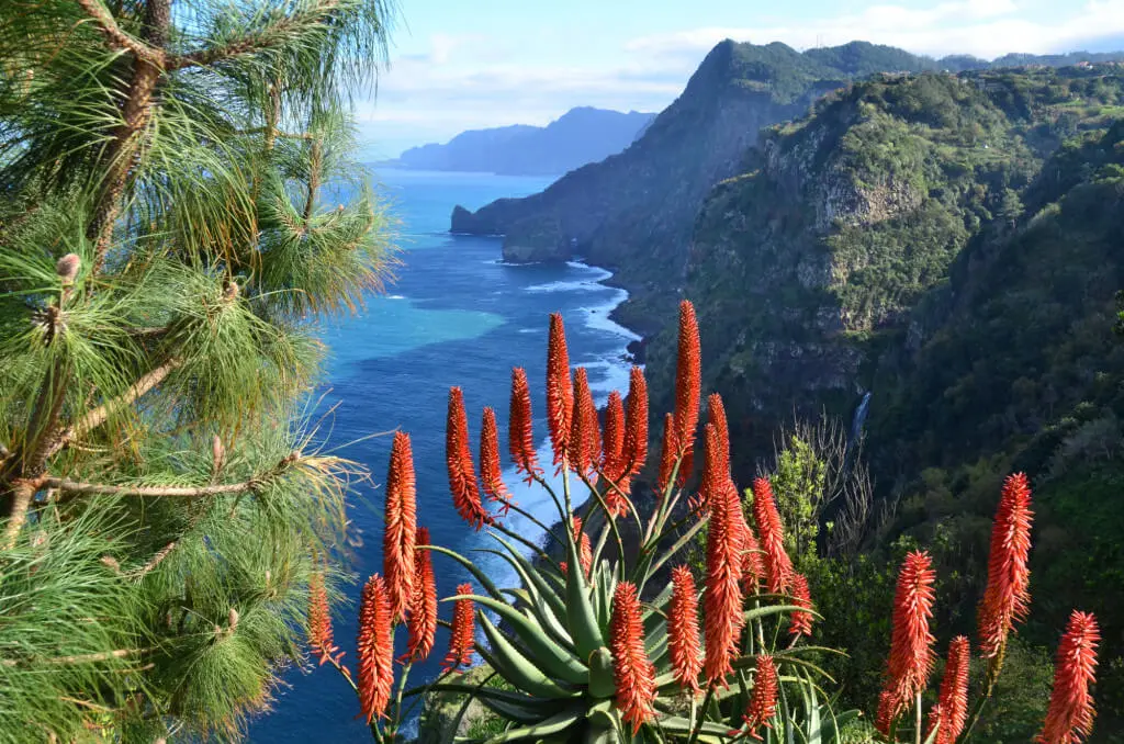 Holiday Program, Madeira, Idegen vezetés, Magyarul, Program, Túra, Buszos kirándulás, Nyaralás, hajó kirándulás, programok vizen, földön és levegőben