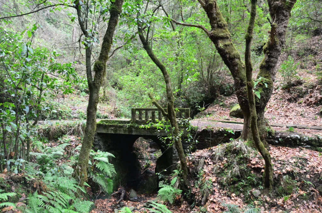 Holiday Program, Madeira, Idegen vezetés, Magyarul, Program, Túra, Buszos kirándulás, Nyaralás, hajó kirándulás, programok vizen, földön és levegőben