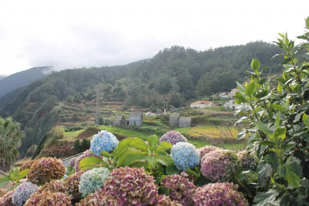 Holiday Program, Madeira, Idegen vezetés, Magyarul, Program, Túra, Buszos kirándulás, Nyaralás, hajó kirándulás, programok vizen, földön és levegőben