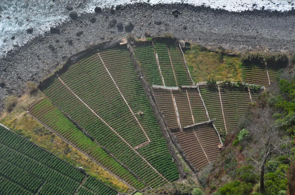 Holiday Program, Madeira, Idegen vezetés, Magyarul, Program, Túra, Buszos kirándulás, Nyaralás, hajó kirándulás, programok vizen, földön és levegőben