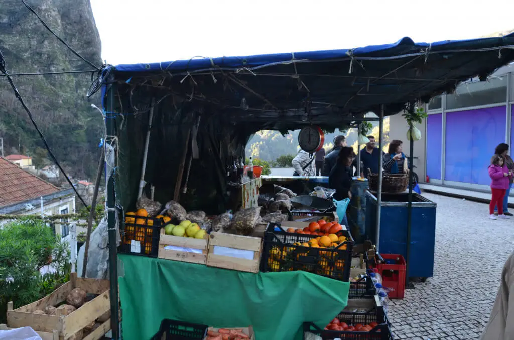 Holiday Program, Madeira, Idegen vezetés, Magyarul, Program, Túra, Buszos kirándulás, Nyaralás, hajó kirándulás, programok vizen, földön és levegőben