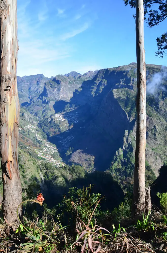 Holiday Program, Madeira, Idegen vezetés, Magyarul, Program, Túra, Buszos kirándulás, Nyaralás, hajó kirándulás, programok vizen, földön és levegőben