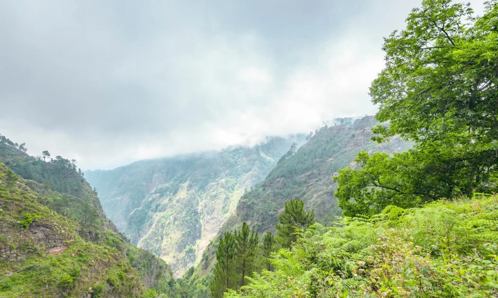 Holiday Program, Madeira, Idegen vezetés, Magyarúl, Program, Túra, Buszos kirándulás, Nyaralás, hajó kirándulás, programok vizen, földön és levegőben