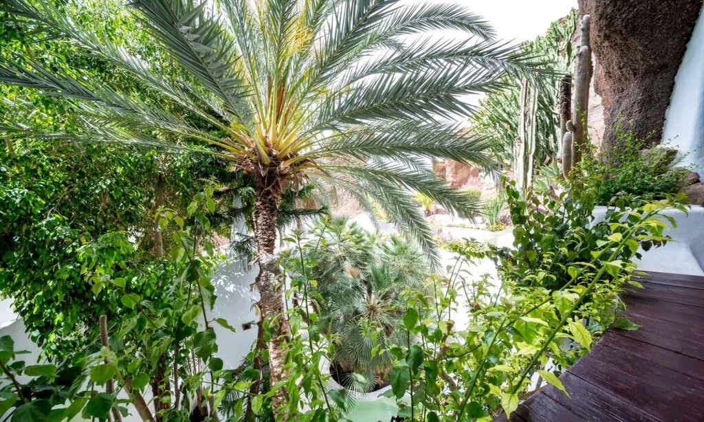 Holiday Program, Lanzarote, Kanári szigetek, Idegen vezetés, Magyarúl, Program, Túra, Buszos kirándulás, Nyaralás, hajó kirándulás, programok vízem, földön és levegőben