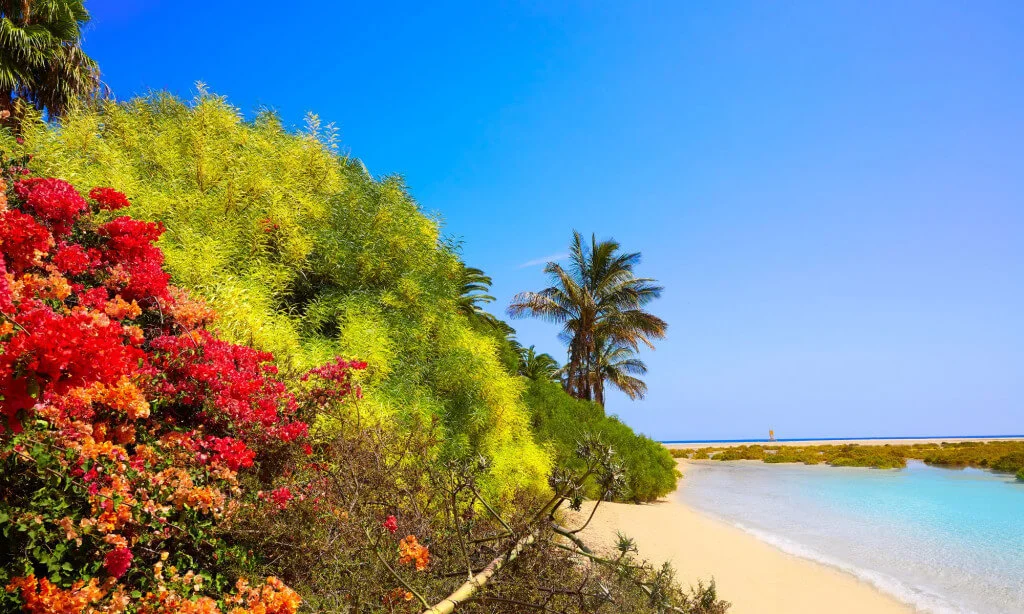 Holiday Program, Fuerteventura, Idegen vezetés, Magyarúl, Program, Túra, Buszos kirándulás, Nyaralás, hajó kirándulás, programok vizen, földön és levegőben