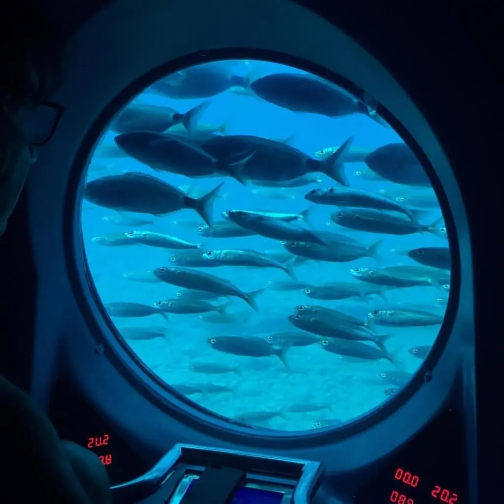 Holiday Program, Gran Canaria, Idegen vezetés, Magyarúl, Program, Túra, Buszos kirándulás, Nyaralás, Kanári szigetek